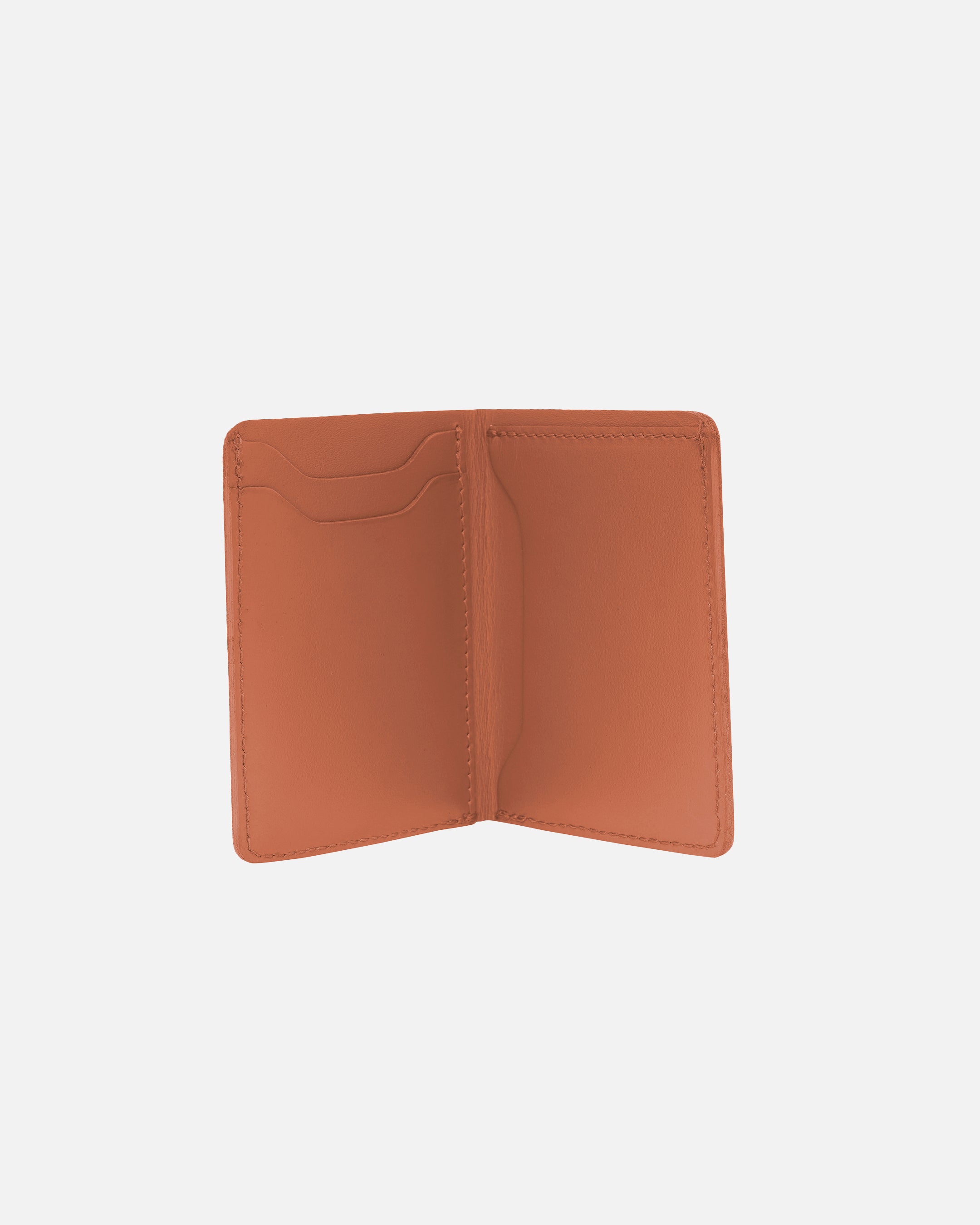 #color_brown