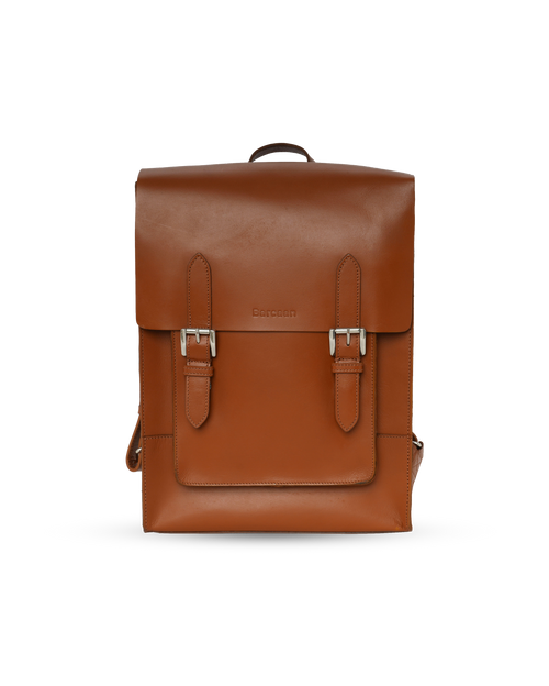 #color_brown